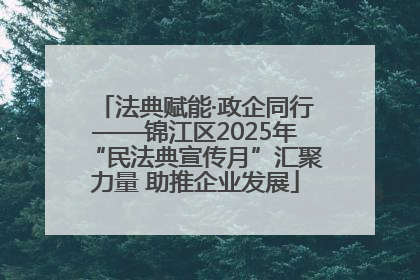 法典赋能·政企同行——锦江区2025年“民法典宣传月”汇聚力量 助推企业发展