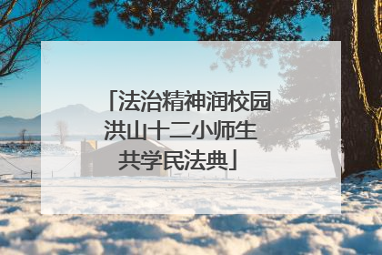 法治精神润校园 洪山十二小师生共学民法典