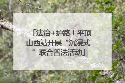 法治+护路！平顶山西站开展“沉浸式”联合普法活动