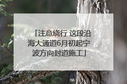 注意绕行 这段沿海大通道6月初起宁波方向封道施工