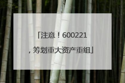 注意！600221，筹划重大资产重组