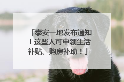 泰安一地发布通知！这些人可申领生活补贴、购房补助！