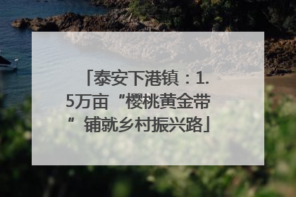 泰安下港镇：1.5万亩“樱桃黄金带”铺就乡村振兴路