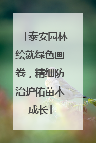 泰安园林绘就绿色画卷，精细防治护佑苗木成长