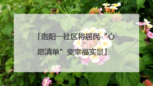 洛阳一社区将居民“心愿清单”变幸福实景