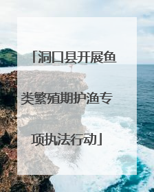 洞口县开展鱼类繁殖期护渔专项执法行动