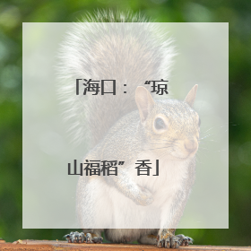 海口：“琼山福稻”香