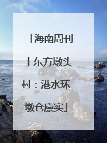 海南周刊丨东方墩头村：港水环墩仓廪实