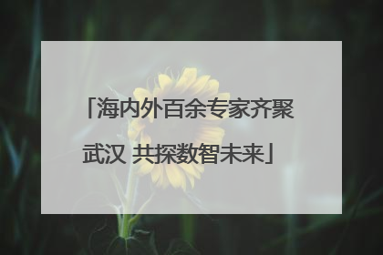 海内外百余专家齐聚武汉 共探数智未来