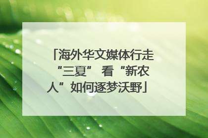 海外华文媒体行走“三夏” 看“新农人”如何逐梦沃野