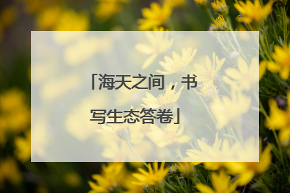 海天之间，书写生态答卷