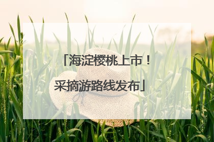 海淀樱桃上市！采摘游路线发布