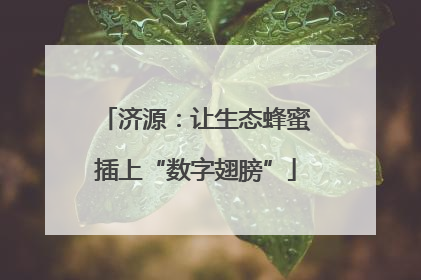 济源：让生态蜂蜜插上“数字翅膀”