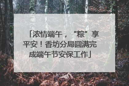 浓情端午，“粽”享平安！香坊分局圆满完成端午节安保工作