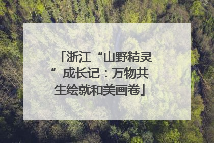浙江“山野精灵”成长记：万物共生绘就和美画卷