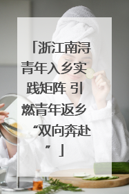 浙江南浔青年入乡实践矩阵 引燃青年返乡“双向奔赴”