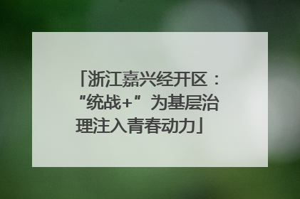浙江嘉兴经开区：“统战+”为基层治理注入青春动力