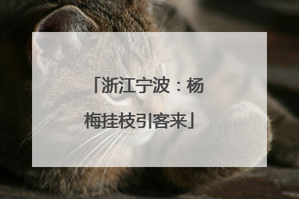 浙江宁波：杨梅挂枝引客来