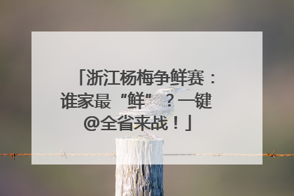 浙江杨梅争鲜赛：谁家最“鲜”？一键@全省来战！
