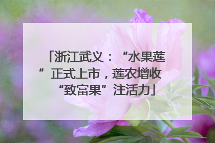 浙江武义：“水果莲”正式上市，莲农增收“致富果”注活力