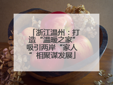 浙江温州：打造“温暖之家”吸引两岸“家人”相聚谋发展