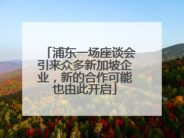 浦东一场座谈会引来众多新加坡企业，新的合作可能也由此开启