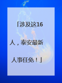 涉及这16人，泰安最新人事任免！