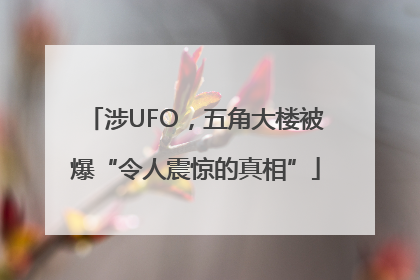 涉UFO，五角大楼被爆“令人震惊的真相”