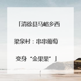 清徐县马峪乡西梁泉村：串串葡萄变身“金果果”