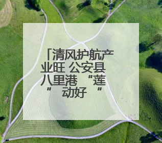 清风护航产业旺 公安县八里港 “莲” 动好 “丰” 景