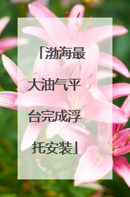 渤海最大油气平台完成浮托安装