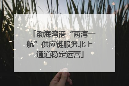 渤海湾港“两湾一航”供应链服务北上通道稳定运营
