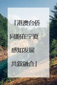 港澳台侨同胞在宁夏感知发展 共叙融合