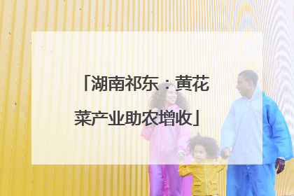 湖南祁东：黄花菜产业助农增收