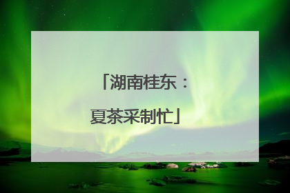 湖南桂东：夏茶采制忙