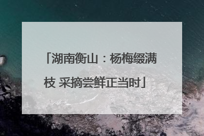 湖南衡山：杨梅缀满枝 采摘尝鲜正当时