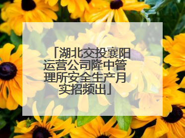 湖北交投襄阳运营公司隆中管理所安全生产月实招频出