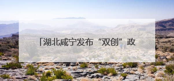 湖北咸宁发布“双创”政策包 广邀英才返乡创业