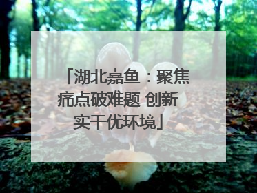 湖北嘉鱼：聚焦痛点破难题 创新实干优环境