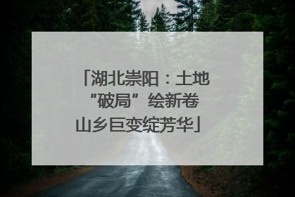 湖北崇阳：土地“破局”绘新卷 山乡巨变绽芳华