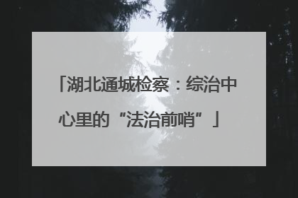 湖北通城检察：综治中心里的“法治前哨”