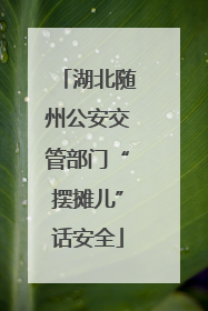 湖北随州公安交管部门“摆摊儿”话安全