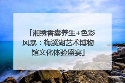 湘绣香囊养生+色彩风暴：梅溪湖艺术博物馆文化体验盛宴