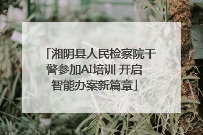 湘阴县人民检察院干警参加AI培训 开启智能办案新篇章