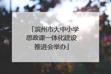 滨州市大中小学思政课一体化建设推进会举办