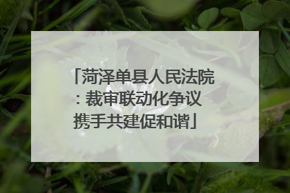菏泽单县人民法院：裁审联动化争议 携手共建促和谐