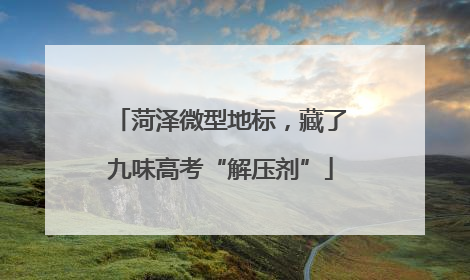 菏泽微型地标，藏了九味高考“解压剂”