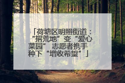荷塘区明照街道：“撂荒地”变“爱心菜园” 志愿者携手种下“增收希望”
