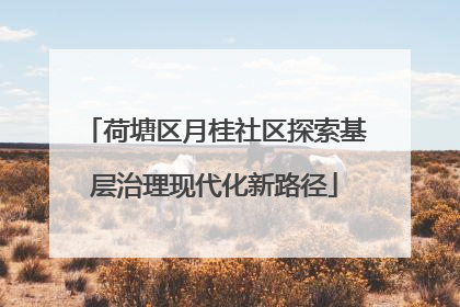 荷塘区月桂社区探索基层治理现代化新路径