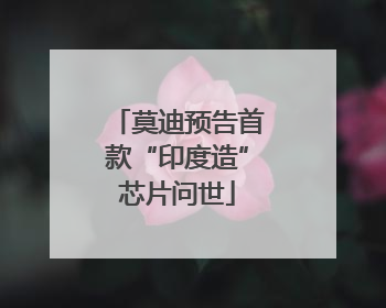 莫迪预告首款“印度造”芯片问世